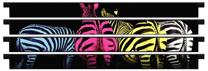 Planken  > Gerade Planke x 4 > Gekleurde Zebra'Bunte Zebras 