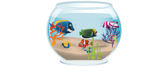 Dünne Füller > Aquarium  > Tropischer Fisch 