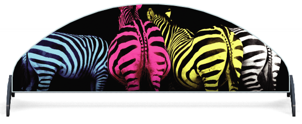 Füllstoffe > Untersteller Halbmond  > Gekleurde Zebra'Bunte Zebras 