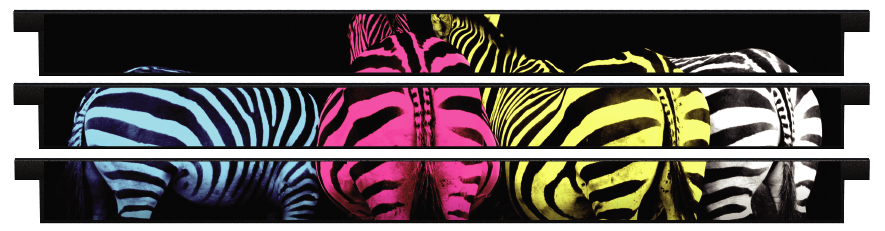 Planken  > Gerade Planke x 3 > Gekleurde Zebra'Bunte Zebras 