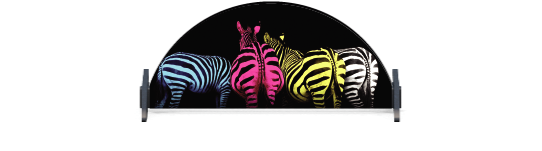 Untersteller > Halbkreis > Gekleurde Zebra'Bunte Zebras 