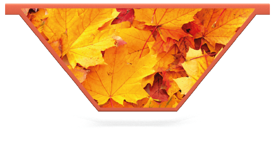 Füllstoffe > V-förmige Planke mit Muster  > Herbstblätter 