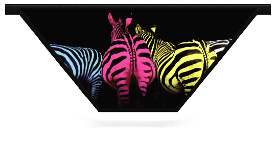 Untersteller > V-förmige Planke mit Muster  > Gekleurde Zebra'Bunte Zebras 