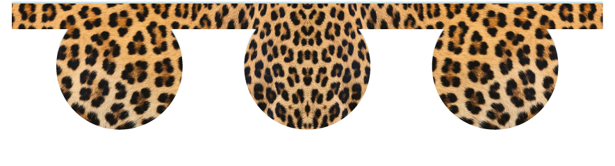 Untersteller > Einhangegatter 3 oder 4 Kreise  > Leopardenmuster 