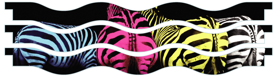 Planken  > Gewellte Planke x 3 > Gekleurde Zebra'Bunte Zebras 