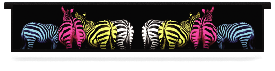 Füllstoffe > Hängender Untersteller mit Mustern  > Gekleurde Zebra'Bunte Zebras 